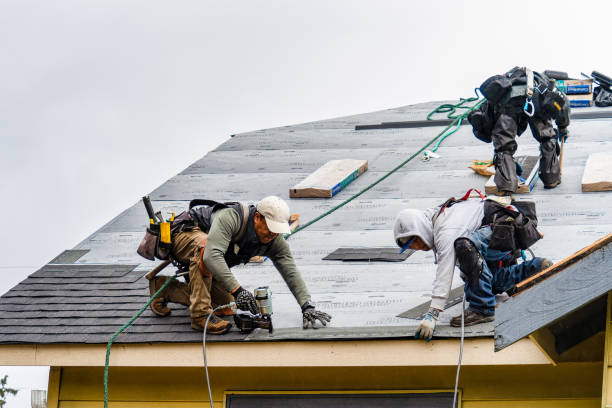 Professional Storm Damage Roof Repair technician working in Warsaw, NY